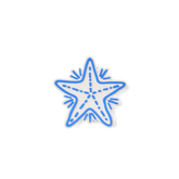Bogg Bit - Blue Starfish