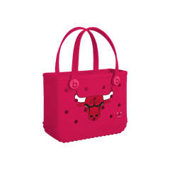 Bitty Bogg Bag - Chicago Bulls